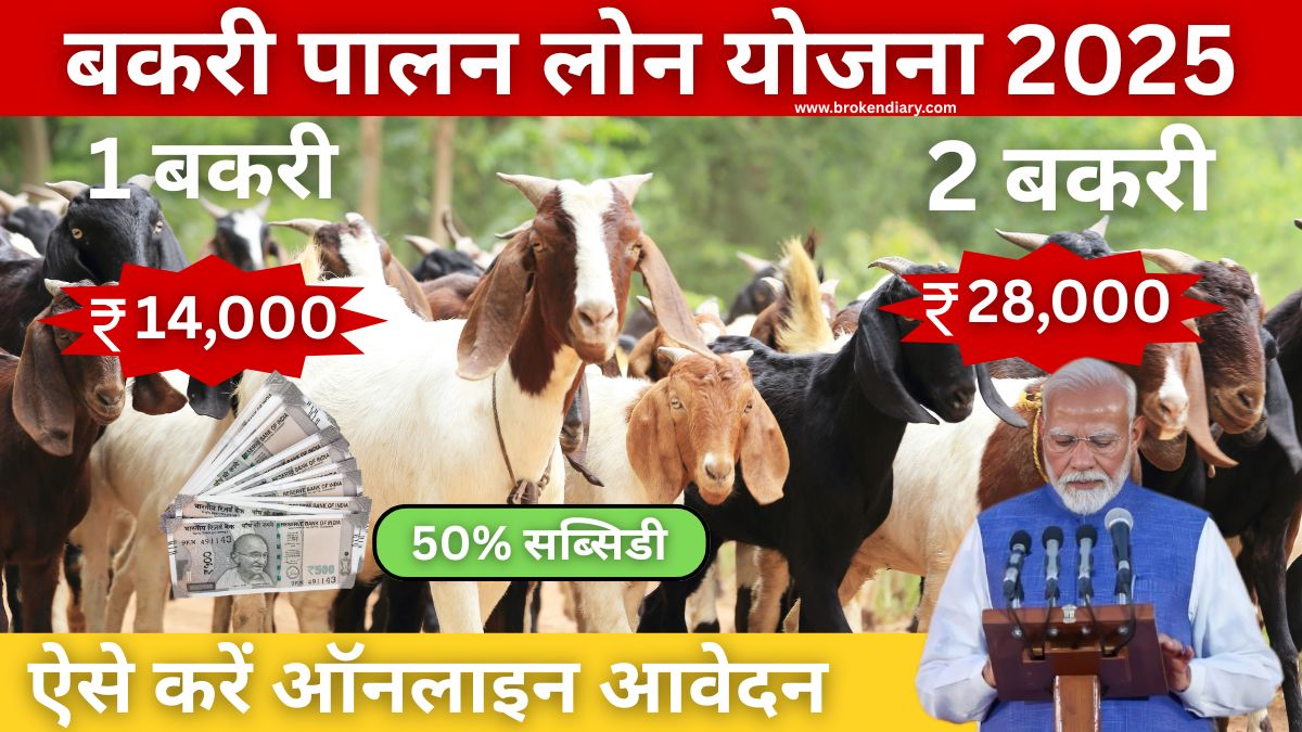 Bakri Palan Yojna Bussines Loan 2025: बकरी पालन व्यवसाय ऋण के लिए नए आवेदन पत्र भरने शुरू-जल्दी करें